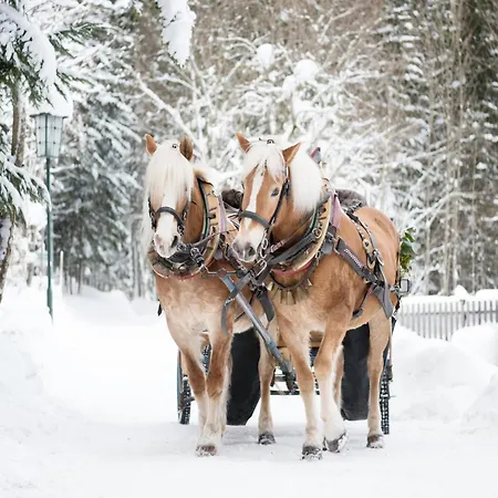 Near With Sauna 度假居 *