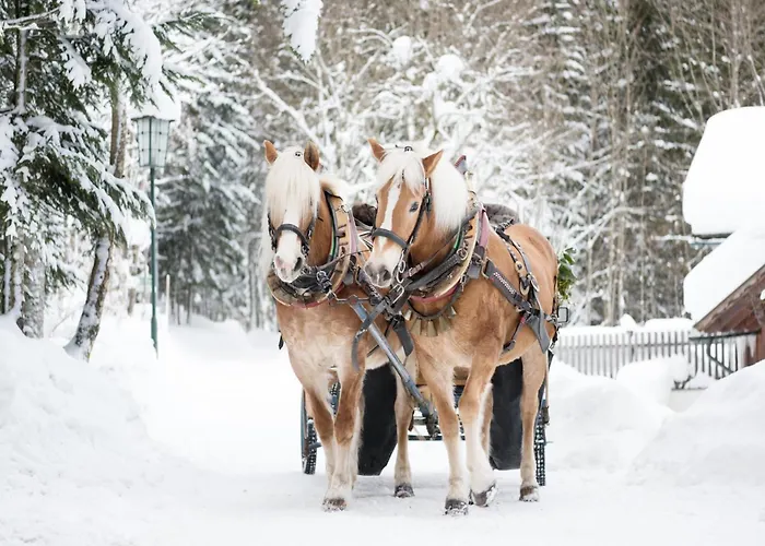 Near With Sauna Dom wakacyjny *